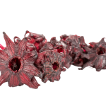 Hibiskus ziedi ar cukuru, veseli
