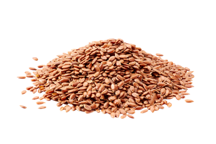 Linsēklas